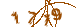 Код перевірки